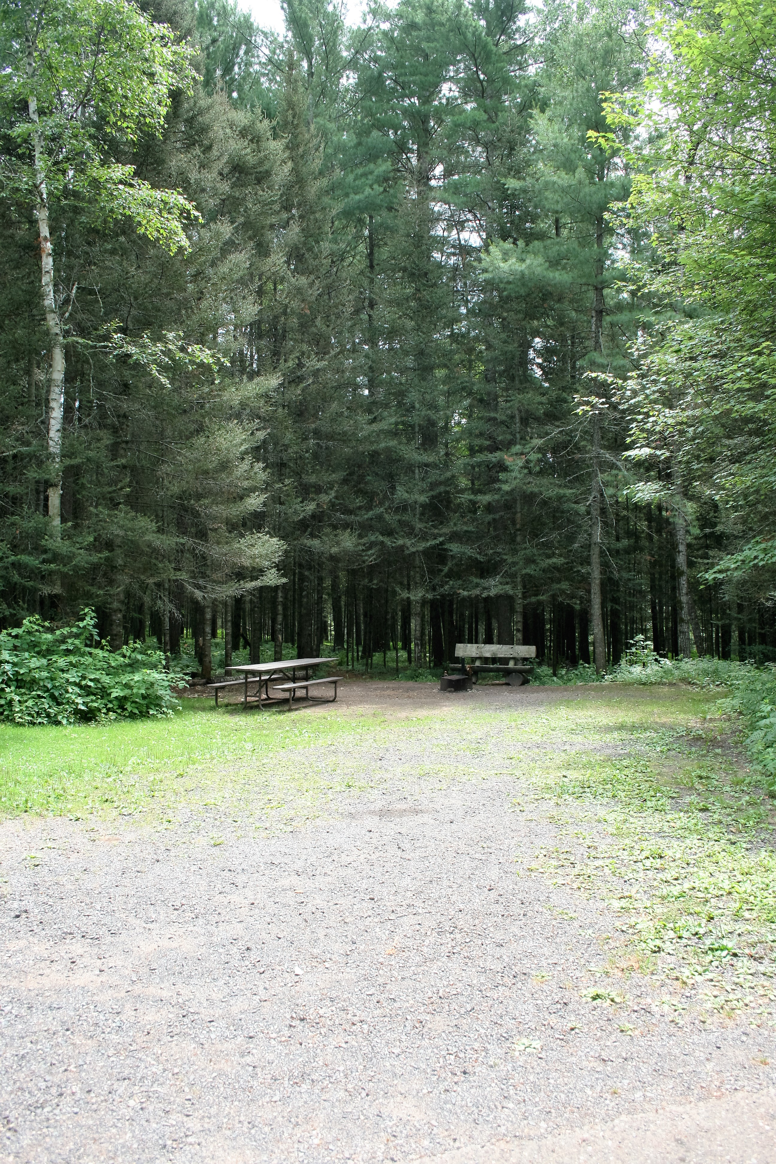 Site 42, photo 2 of 3 · from wisconsin.goingtocamp.com (the park's booking system)