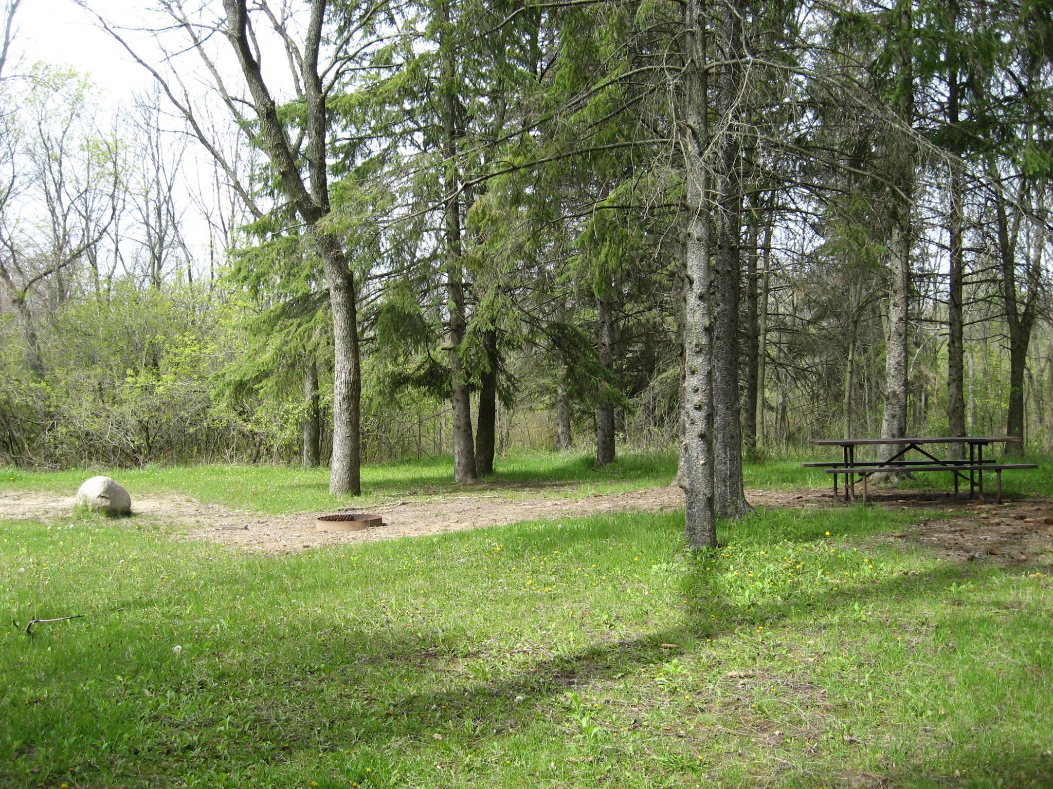 Site 642, photo 2 of 2 · from wisconsin.goingtocamp.com (the park's booking system)