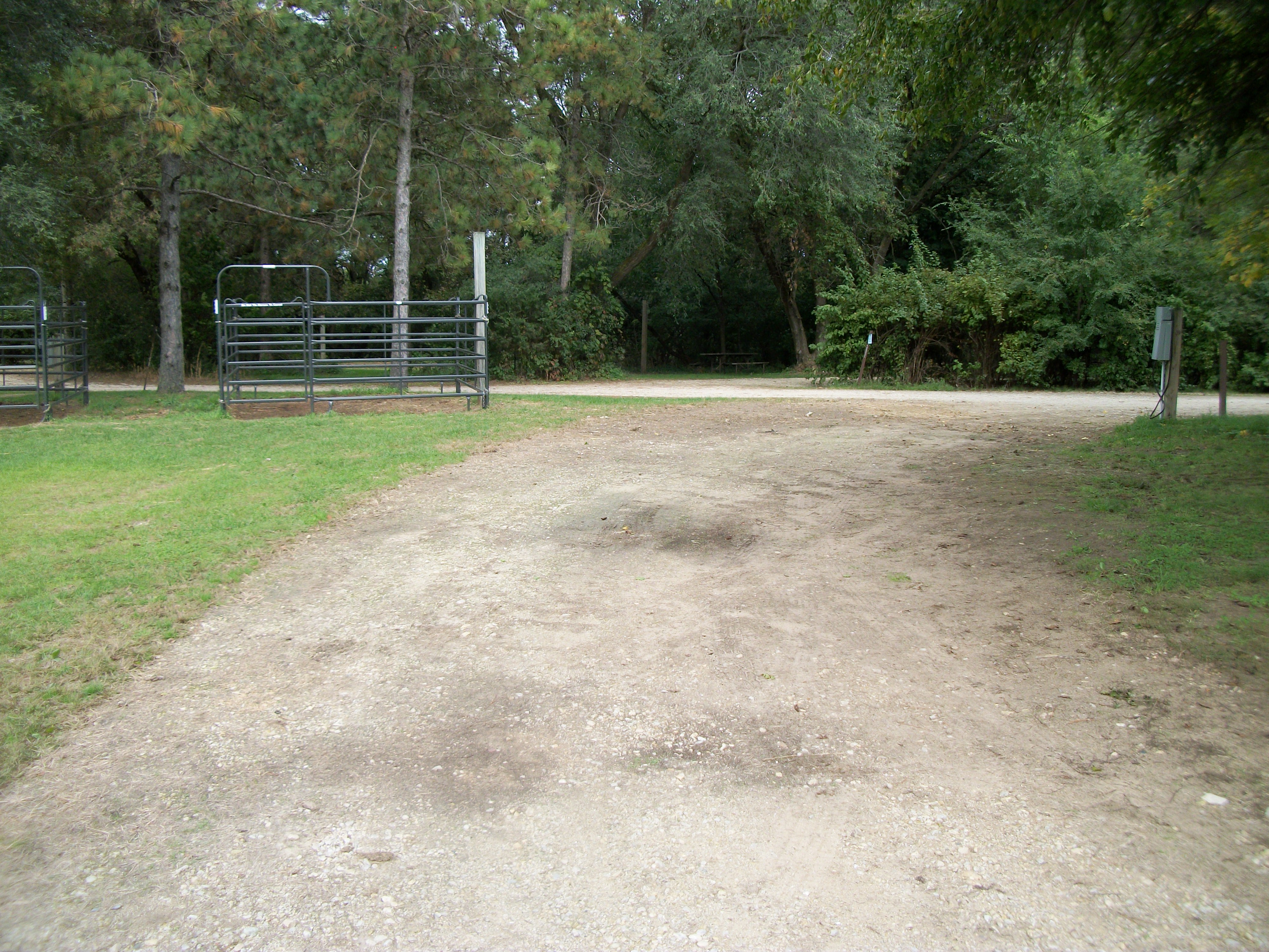 Site 419, photo 3 of 3 · from wisconsin.goingtocamp.com (the park's booking system)