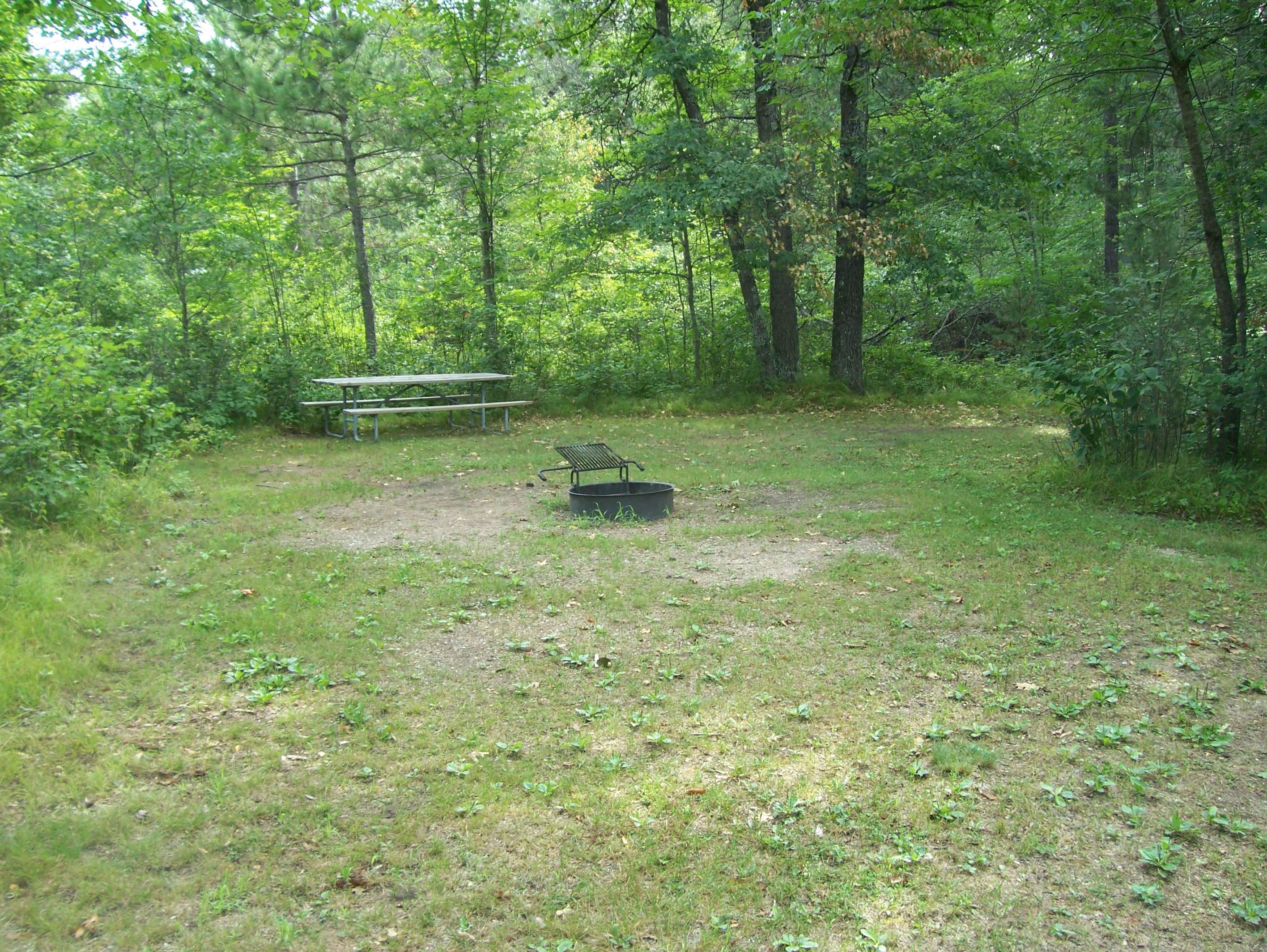 Site 1, photo 2 of 2 · from wisconsin.goingtocamp.com (the park's booking system)
