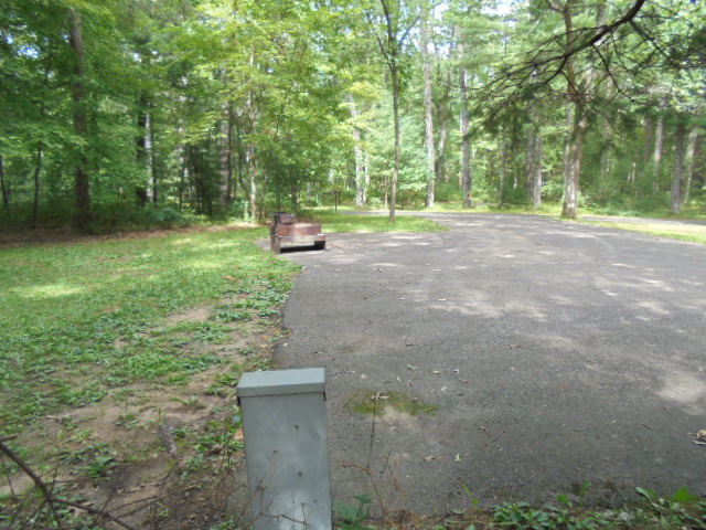Site 8, photo 3 of 4 · from wisconsin.goingtocamp.com (the park's booking system)