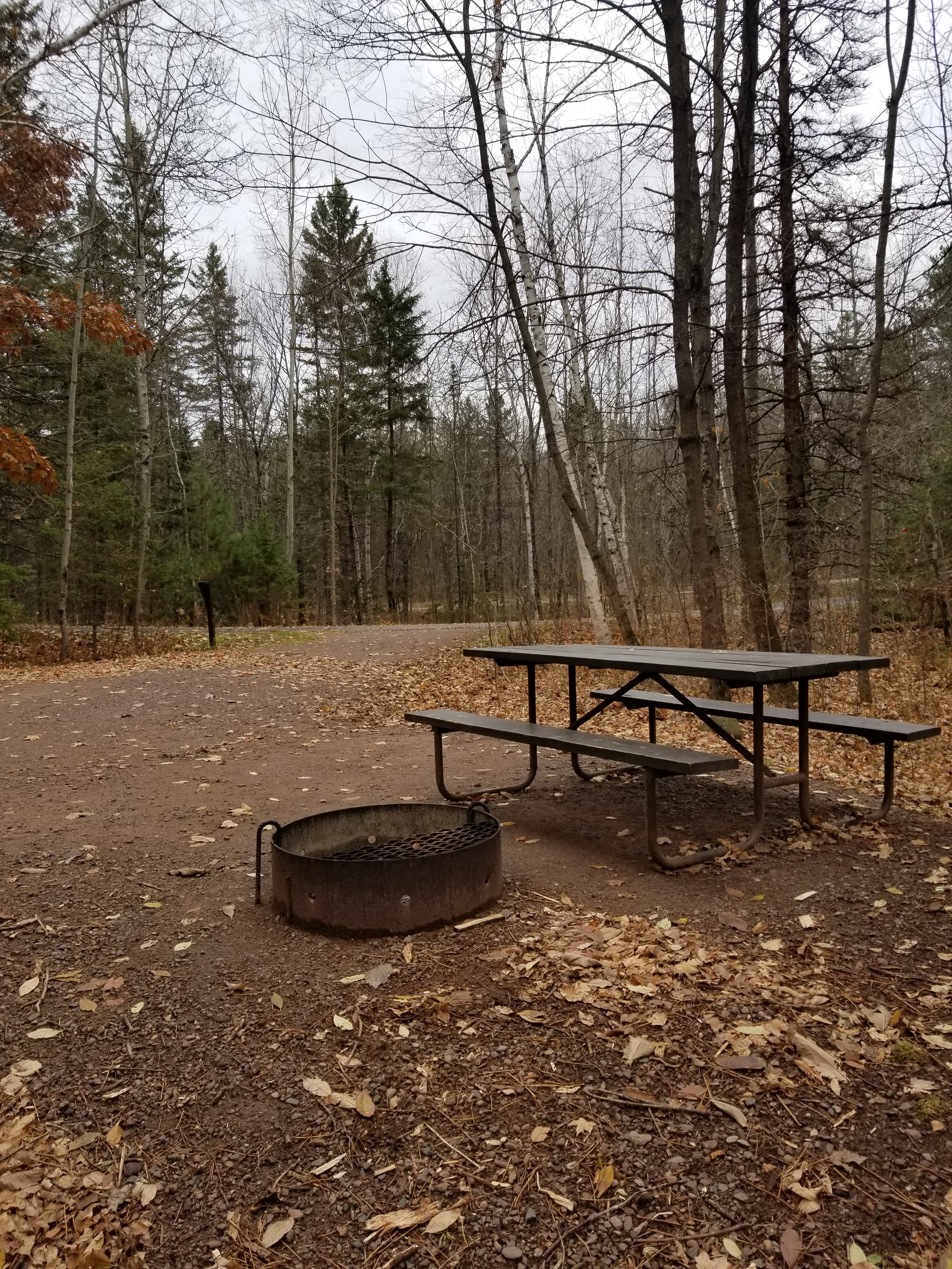 Site 29, photo 3 of 4 · from wisconsin.goingtocamp.com (the park's booking system)
