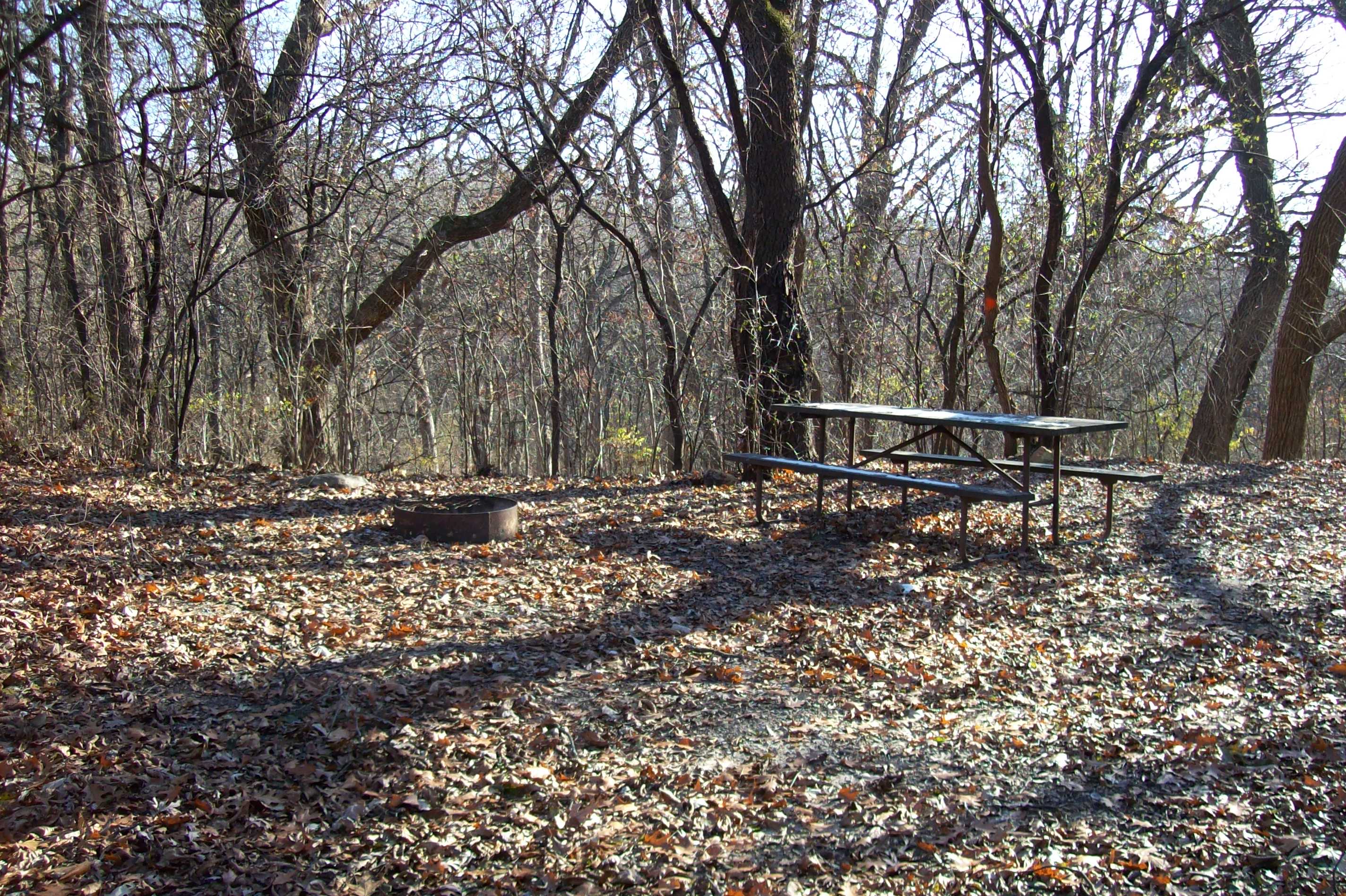 Site 775, photo 2 of 3 · from wisconsin.goingtocamp.com (the park's booking system)