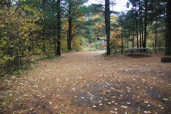 Site 501, photo 2 of 3 · from wisconsin.goingtocamp.com (the park's booking system)