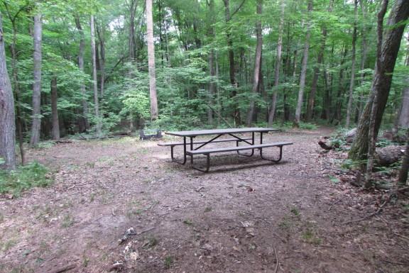 Site 6, photo 3 of 4 · from wisconsin.goingtocamp.com (the park's booking system)