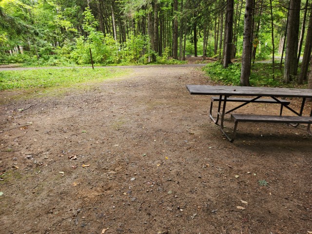 Site 52, photo 2 of 3 · from wisconsin.goingtocamp.com (the park's booking system)