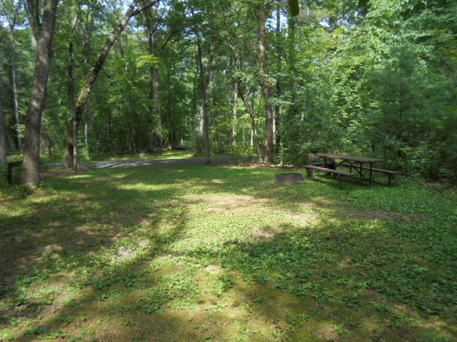 Site 12, photo 3 of 4 · from wisconsin.goingtocamp.com (the park's booking system)