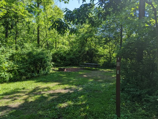 Site 1, photo 2 of 3 · from wisconsin.goingtocamp.com (the park's booking system)