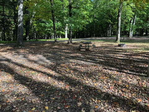 Site 5, photo 3 of 3 · from wisconsin.goingtocamp.com (the park's booking system)