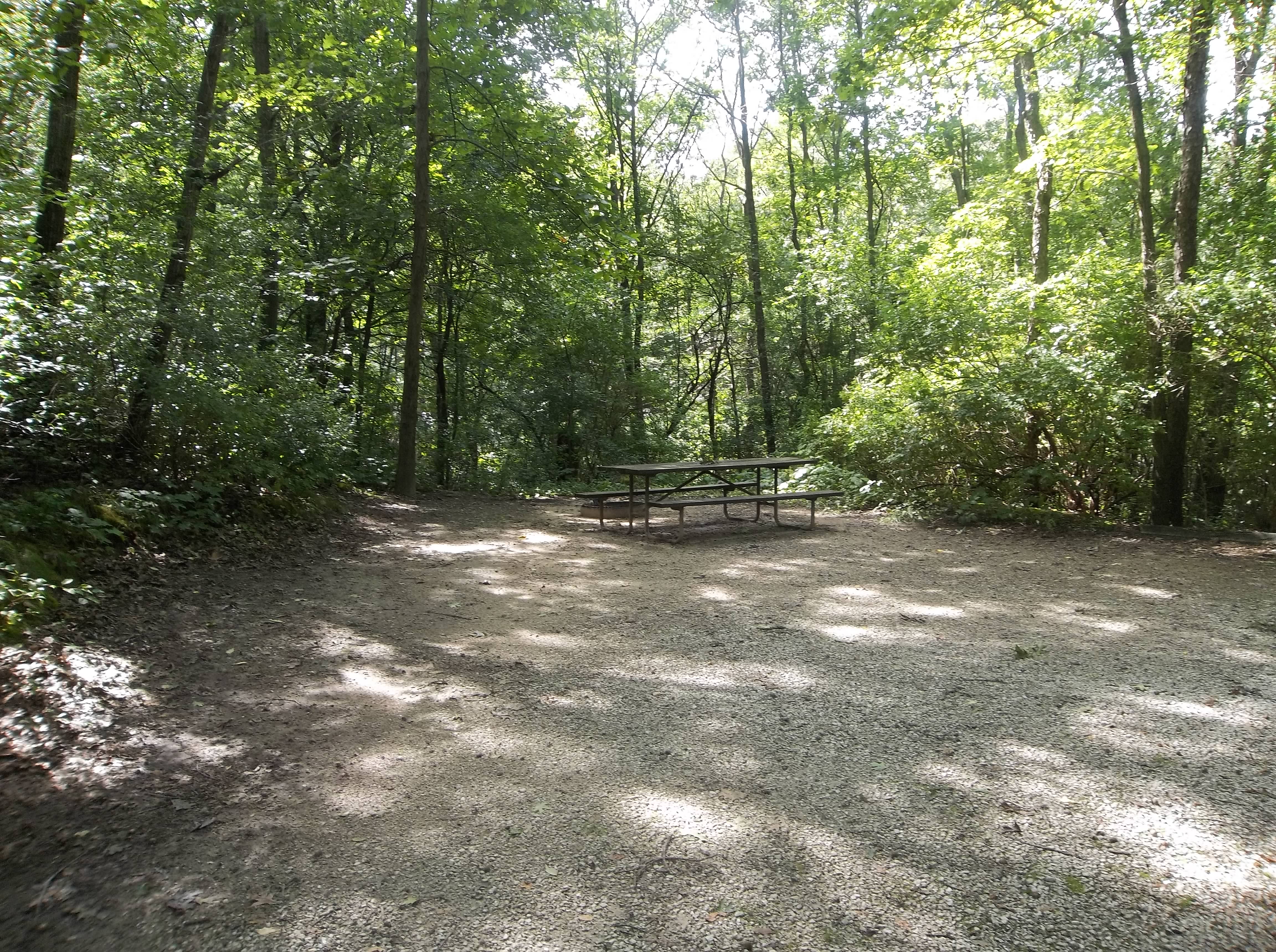 Site 166, photo 2 of 3 · from wisconsin.goingtocamp.com (the park's booking system)
