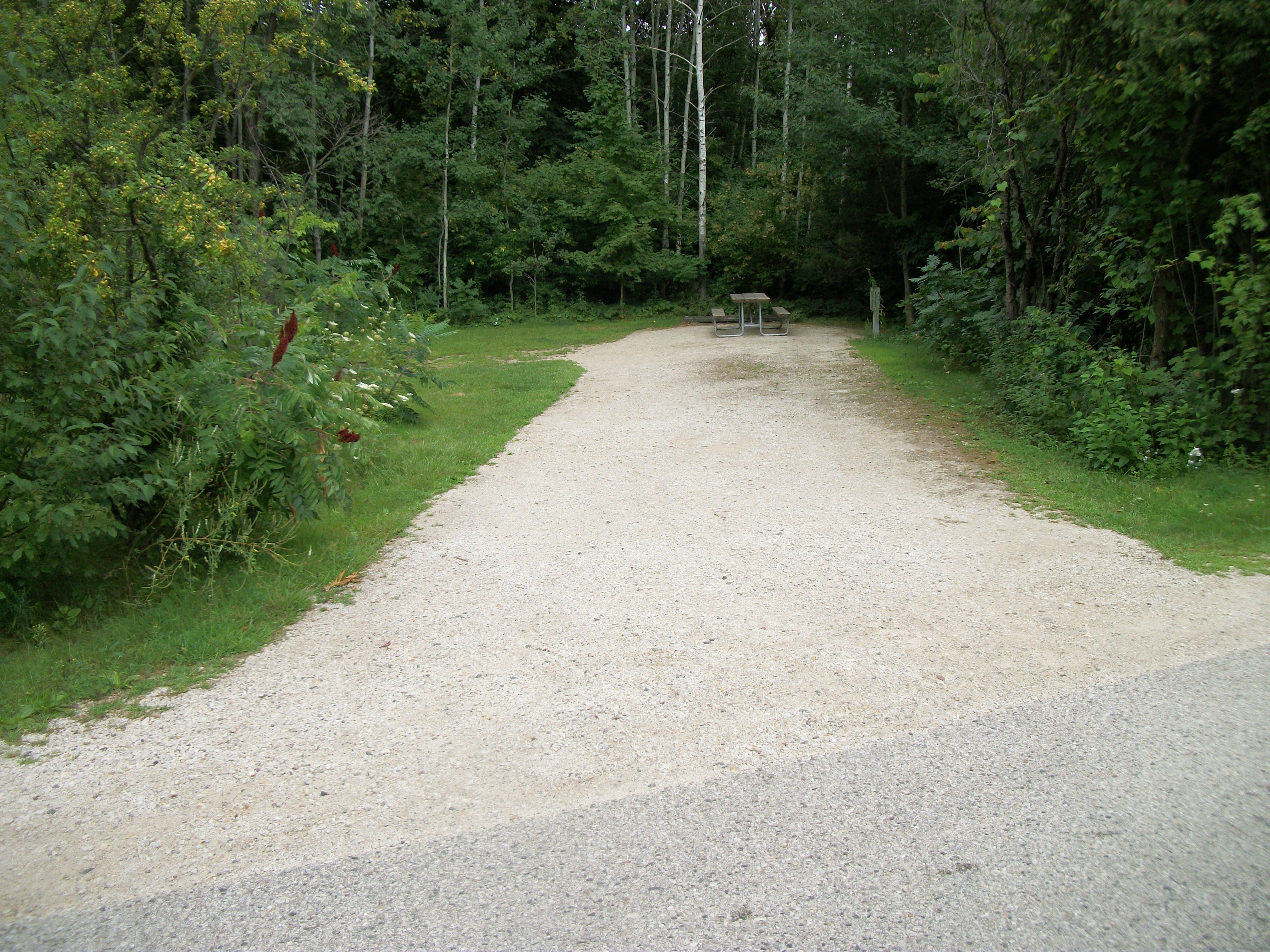 Site 320, photo 2 of 2 · from wisconsin.goingtocamp.com (the park's booking system)