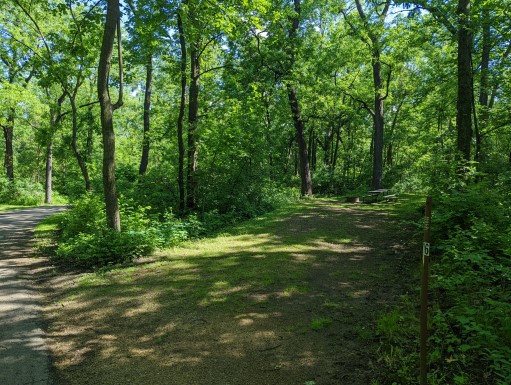 Site 16, photo 2 of 3 · from wisconsin.goingtocamp.com (the park's booking system)