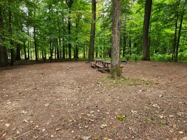Site 31, photo 3 of 3 · from wisconsin.goingtocamp.com (the park's booking system)