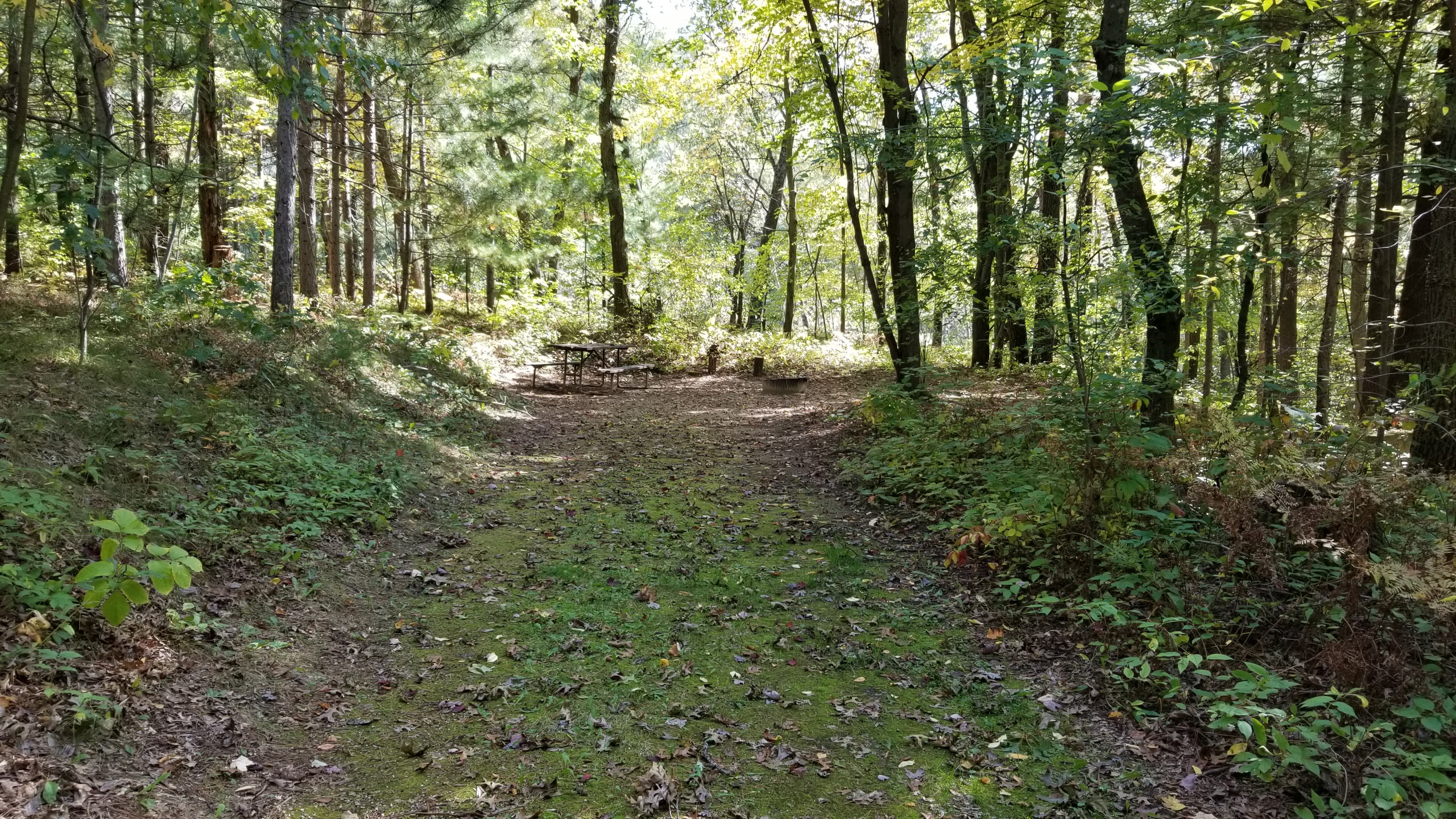 Site 7, photo 2 of 4 · from wisconsin.goingtocamp.com (the park's booking system)