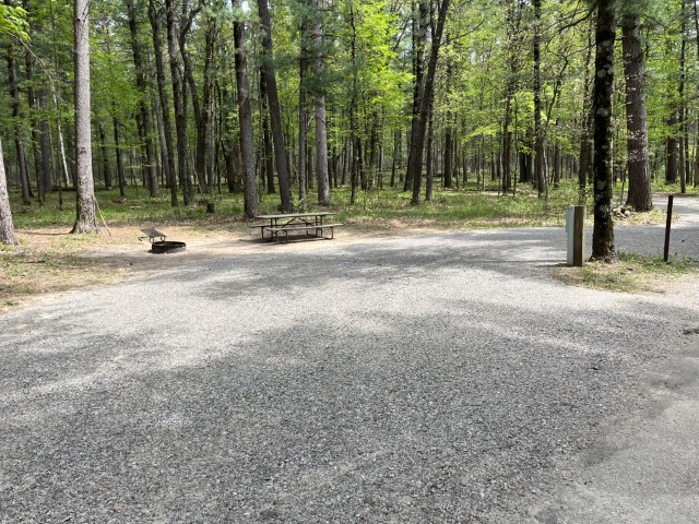 Site 18, photo 2 of 3 · from wisconsin.goingtocamp.com (the park's booking system)