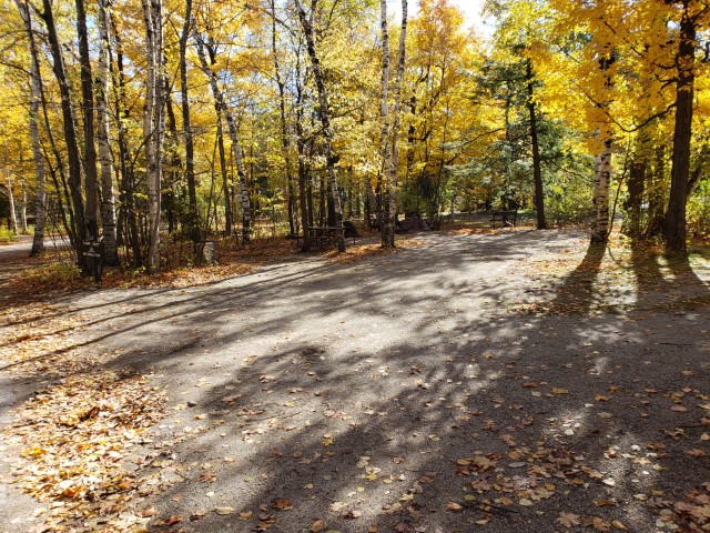 Site 2, photo 2 of 4 · from wisconsin.goingtocamp.com (the park's booking system)