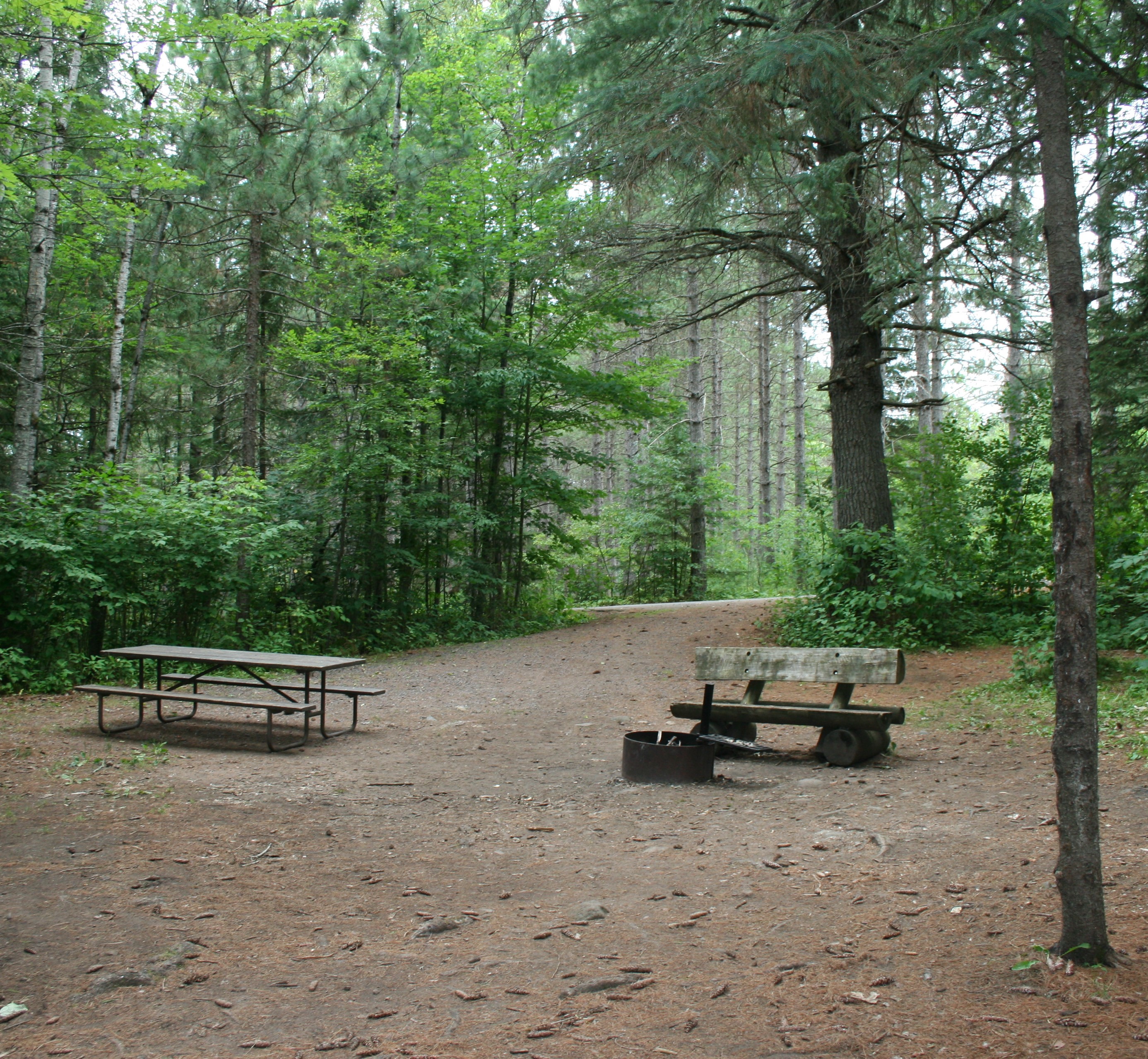 Site 20, photo 3 of 3 · from wisconsin.goingtocamp.com (the park's booking system)