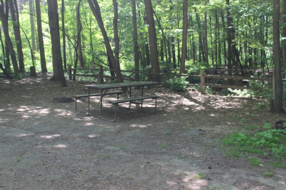 Site 32, photo 2 of 3 · from wisconsin.goingtocamp.com (the park's booking system)