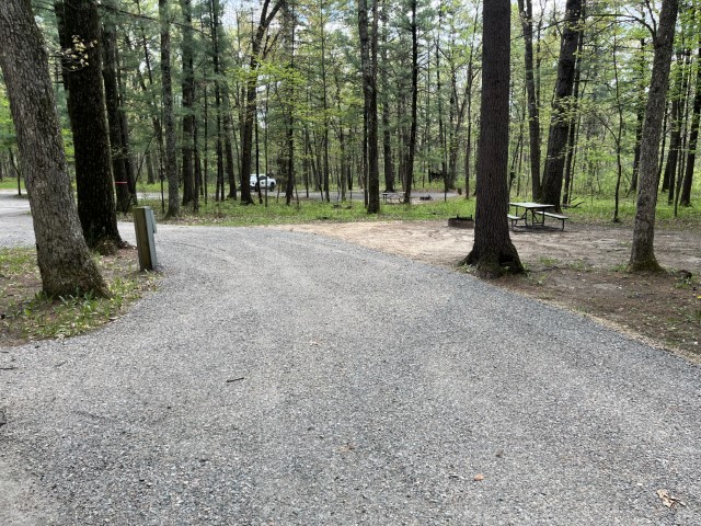 Site 17, photo 2 of 3 · from wisconsin.goingtocamp.com (the park's booking system)