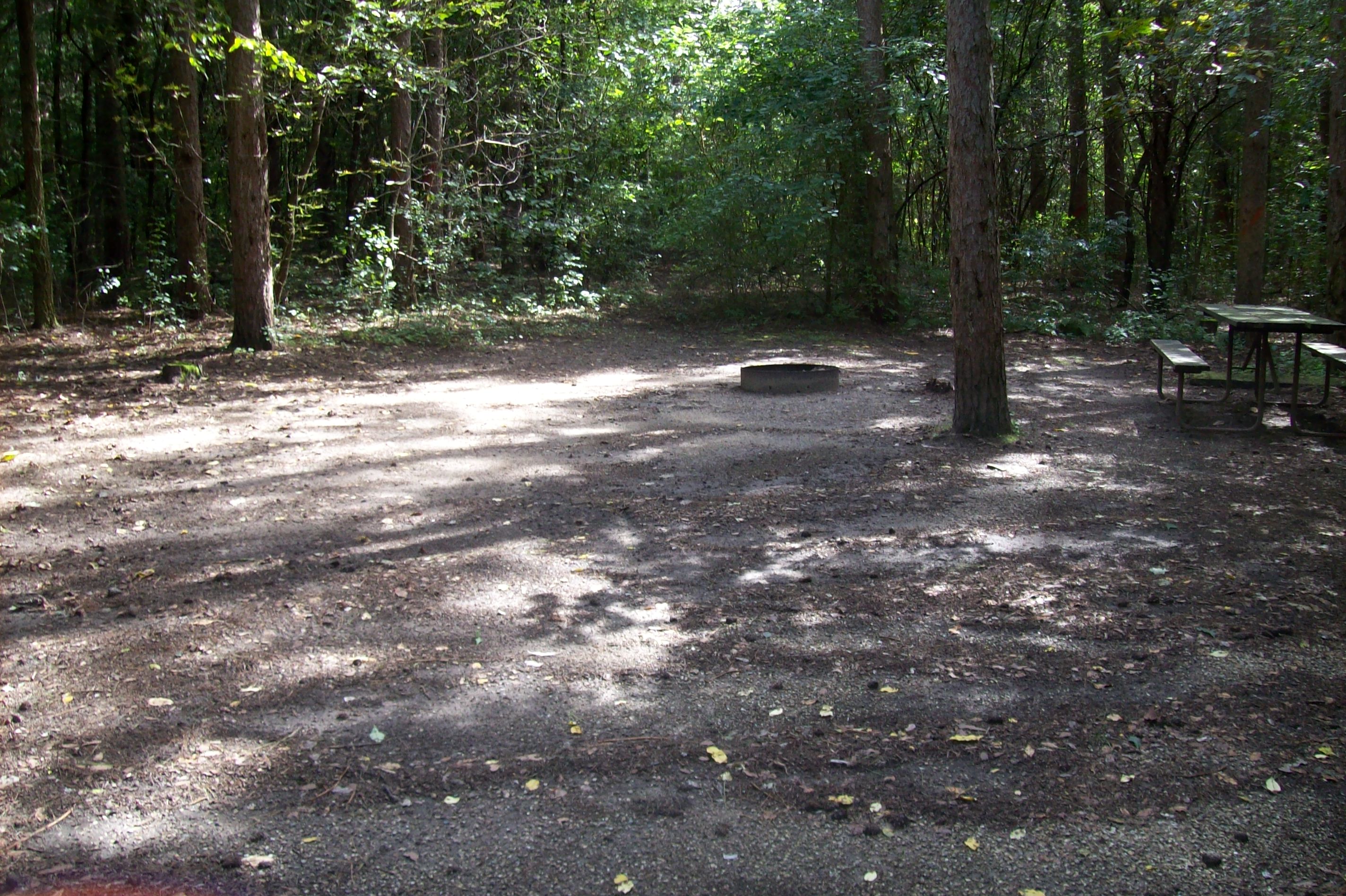 Site 282, photo 3 of 3 · from wisconsin.goingtocamp.com (the park's booking system)