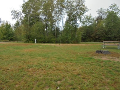 Site 46, photo 2 of 3 · from wisconsin.goingtocamp.com (the park's booking system)