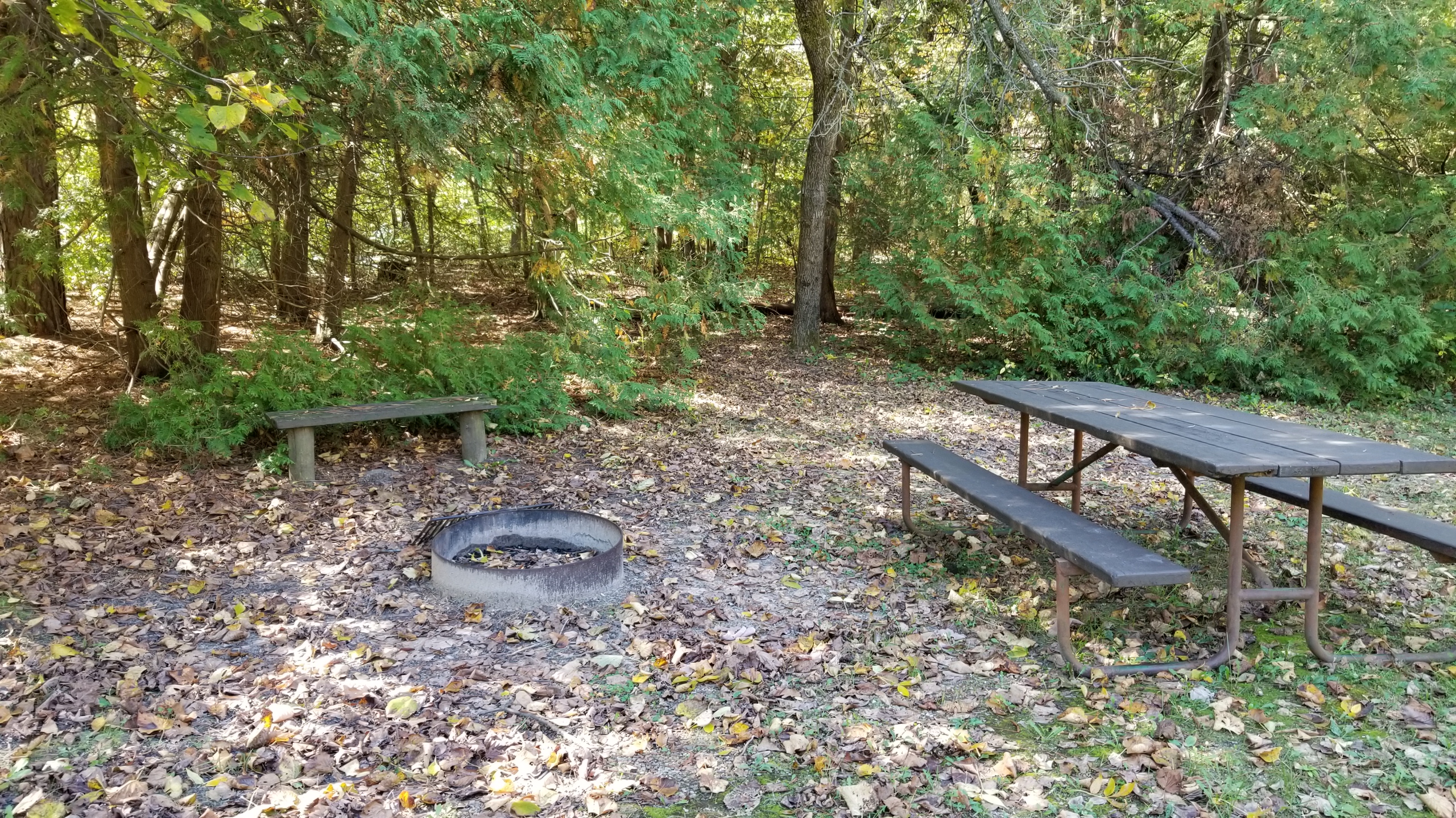 Site 16, photo 3 of 4 · from wisconsin.goingtocamp.com (the park's booking system)