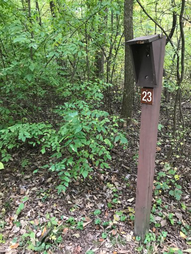 Site 23, photo 2 of 3 · from wisconsin.goingtocamp.com (the park's booking system)