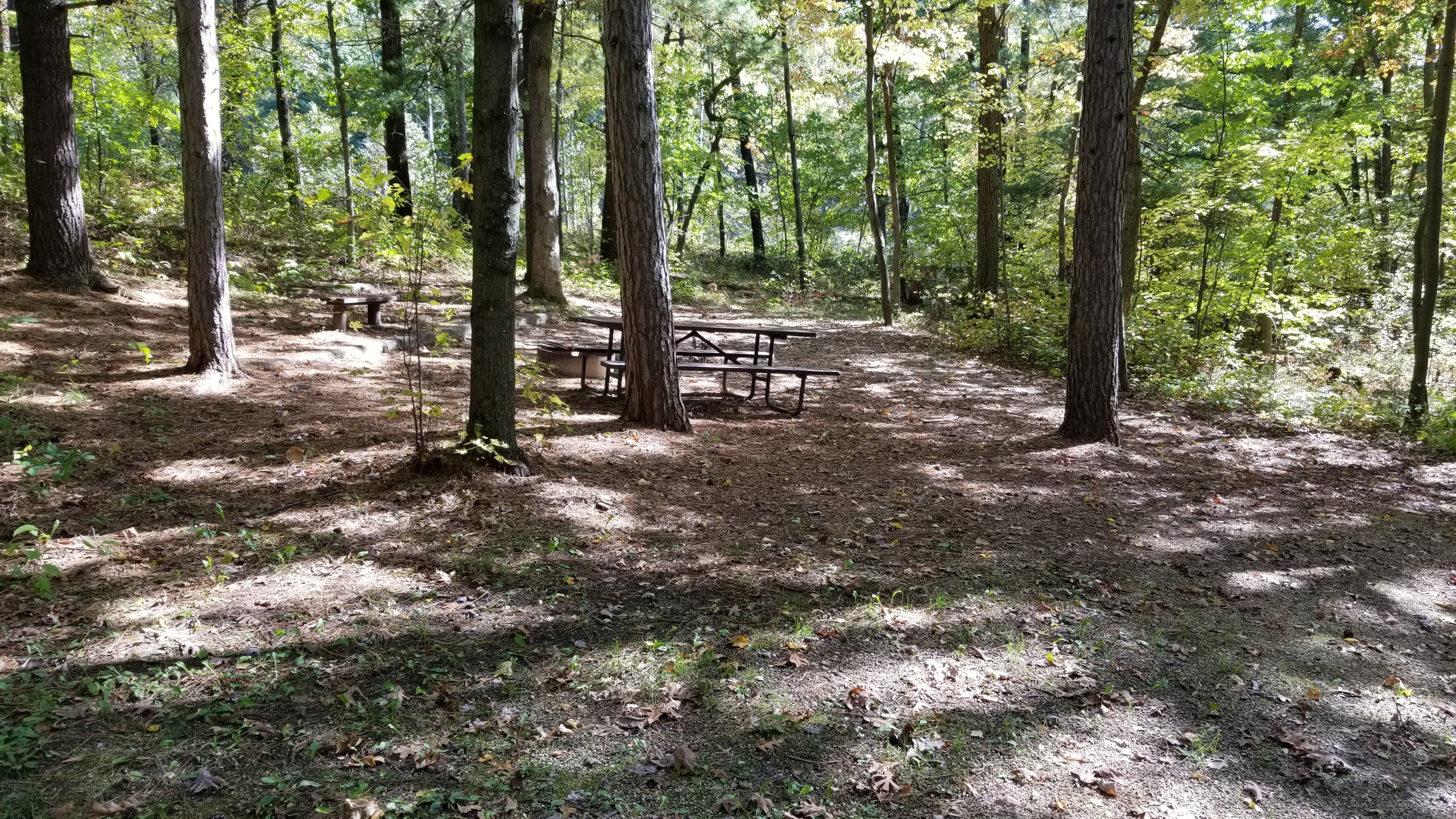 Site 6, photo 2 of 4 · from wisconsin.goingtocamp.com (the park's booking system)