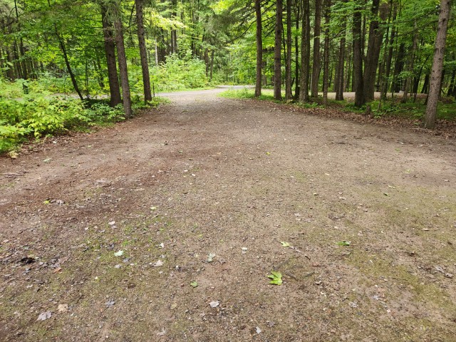 Site 51, photo 2 of 3 · from wisconsin.goingtocamp.com (the park's booking system)