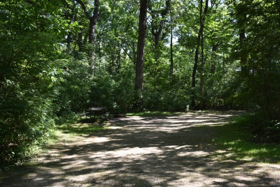 Site 24, photo 3 of 4 · from wisconsin.goingtocamp.com (the park's booking system)