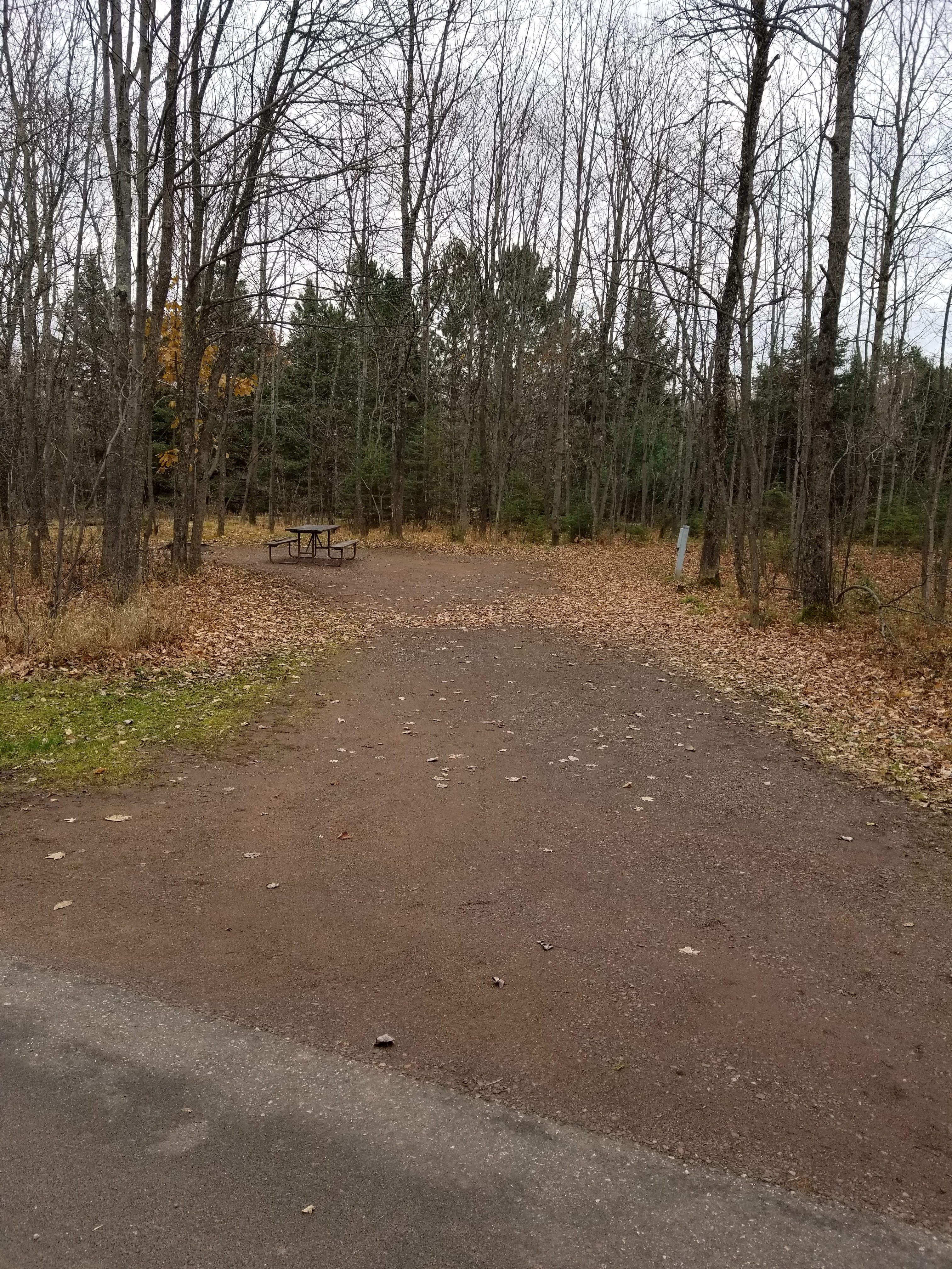 Site 4, photo 2 of 4 · from wisconsin.goingtocamp.com (the park's booking system)
