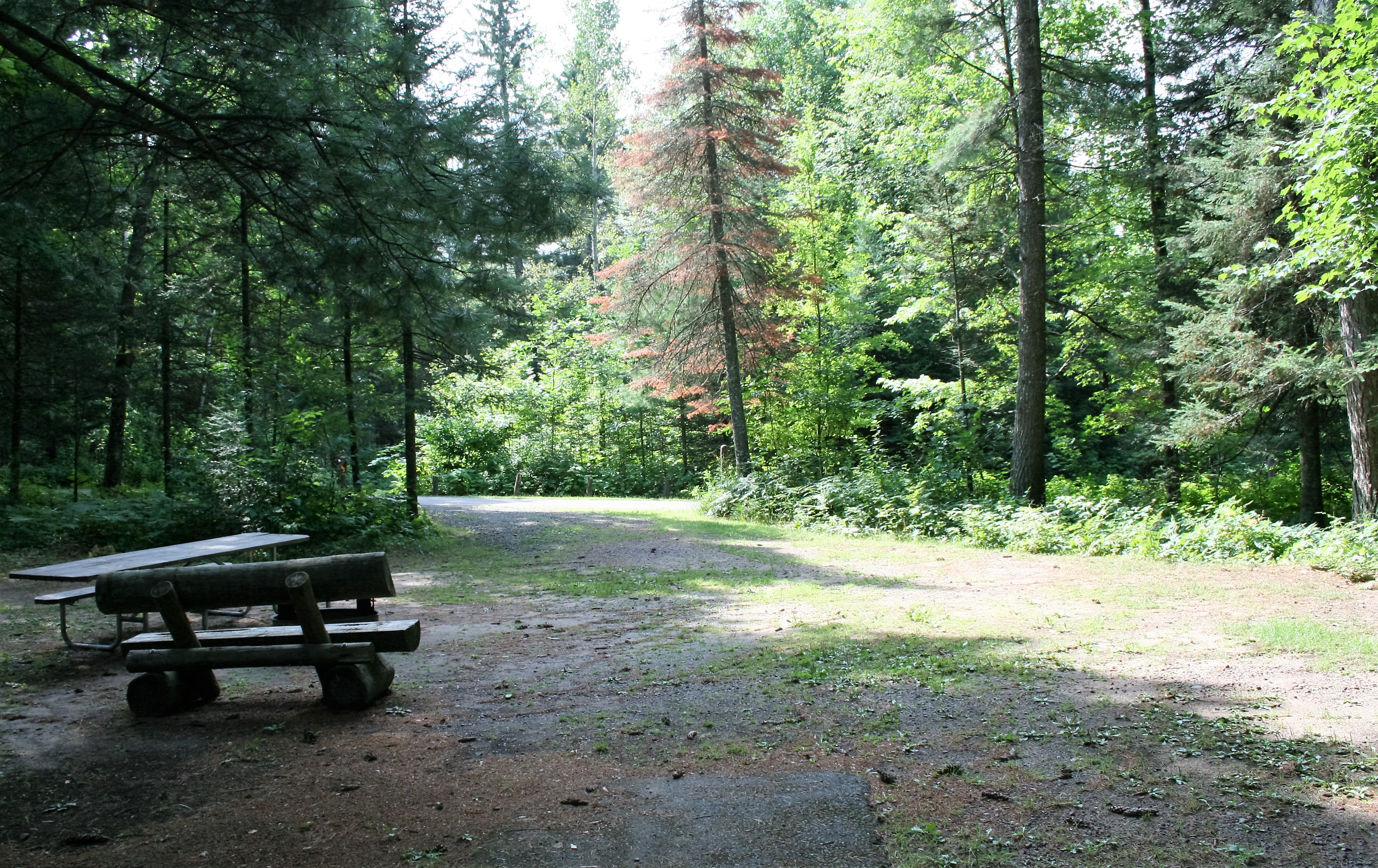 Site 39, photo 3 of 3 · from wisconsin.goingtocamp.com (the park's booking system)