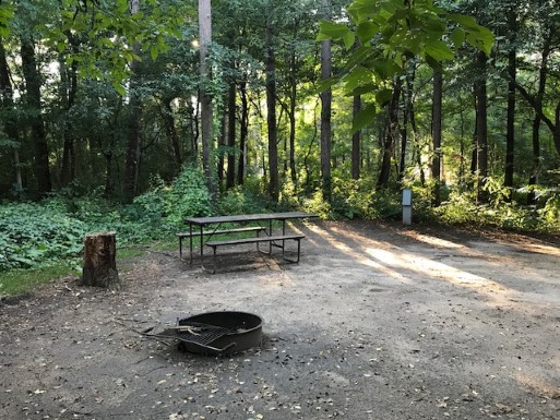 Site 73, photo 2 of 3 · from wisconsin.goingtocamp.com (the park's booking system)