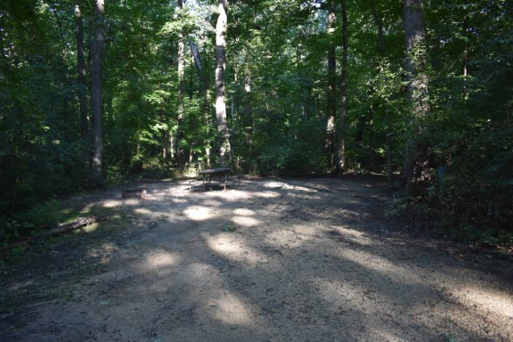Site 44, photo 2 of 4 · from wisconsin.goingtocamp.com (the park's booking system)