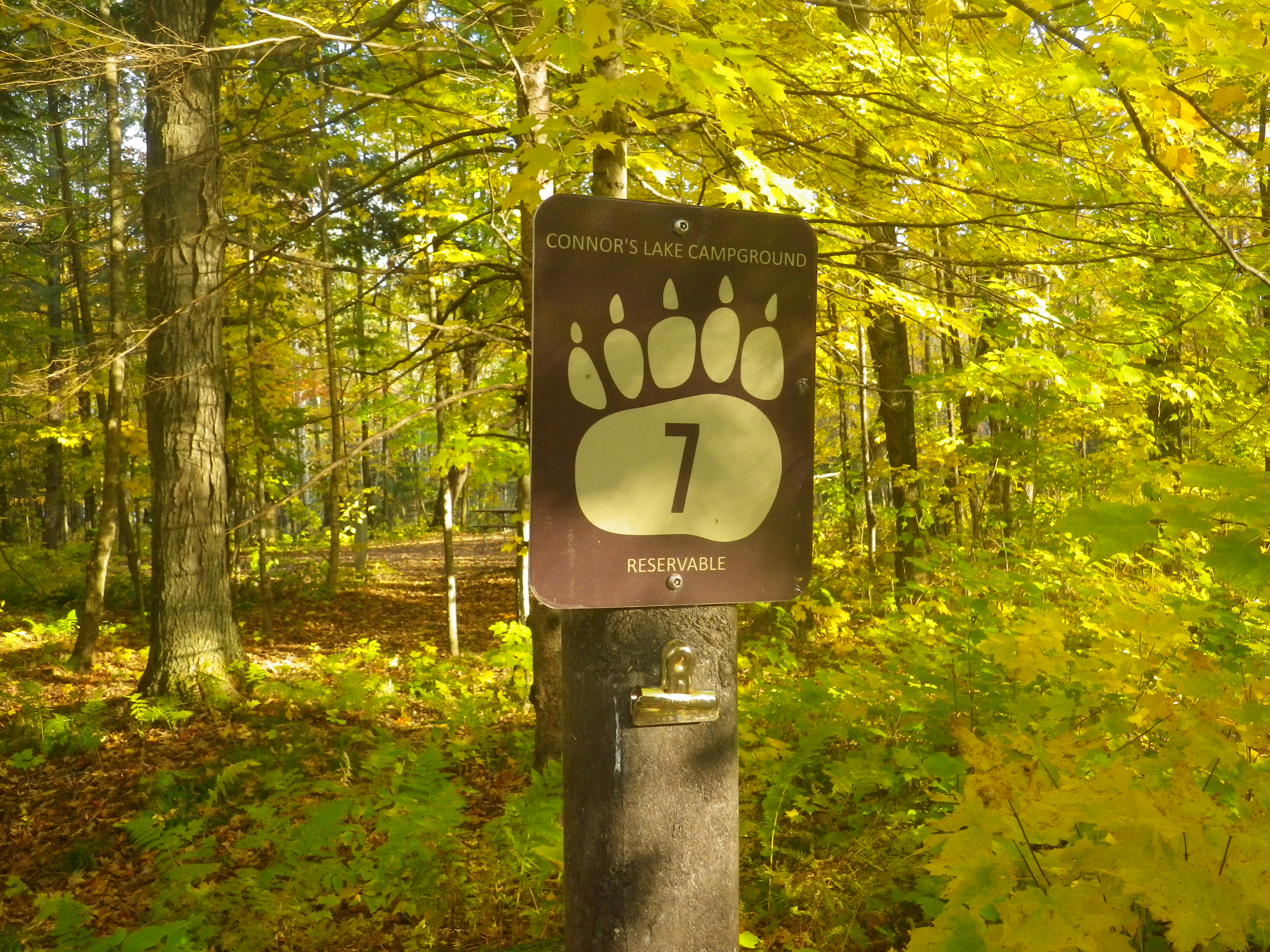 Site 7, photo 2 of 4 · from wisconsin.goingtocamp.com (the park's booking system)