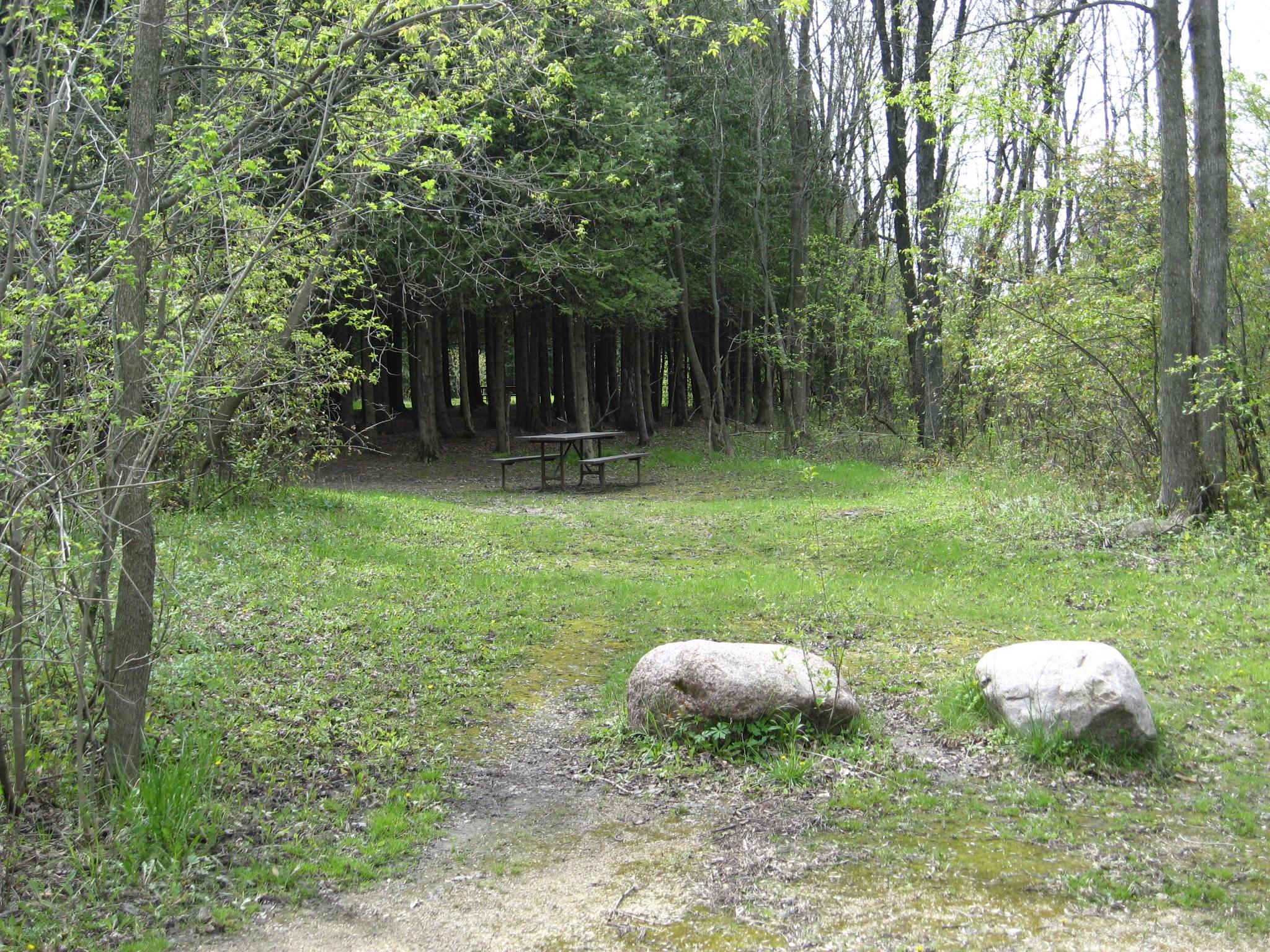 Site 608, photo 2 of 2 · from wisconsin.goingtocamp.com (the park's booking system)