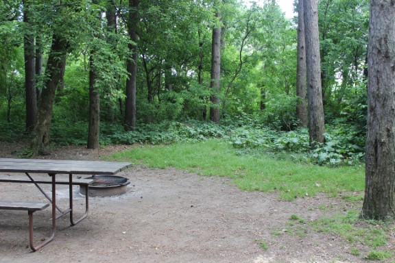 Site 71, photo 3 of 3 · from wisconsin.goingtocamp.com (the park's booking system)