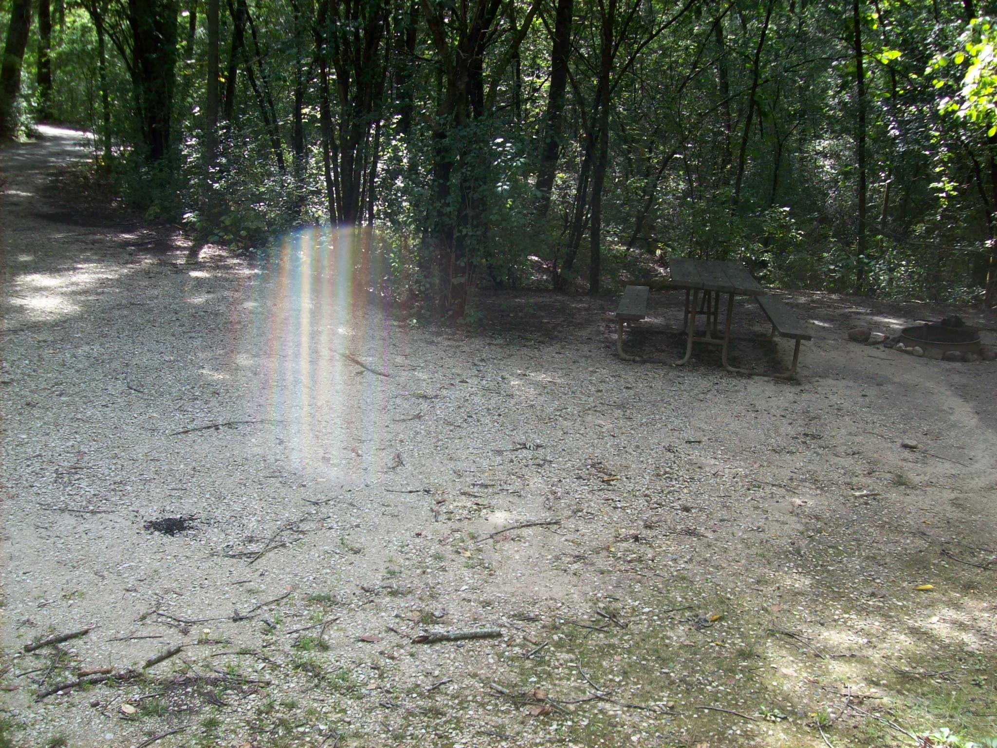 Site 161, photo 3 of 3 · from wisconsin.goingtocamp.com (the park's booking system)