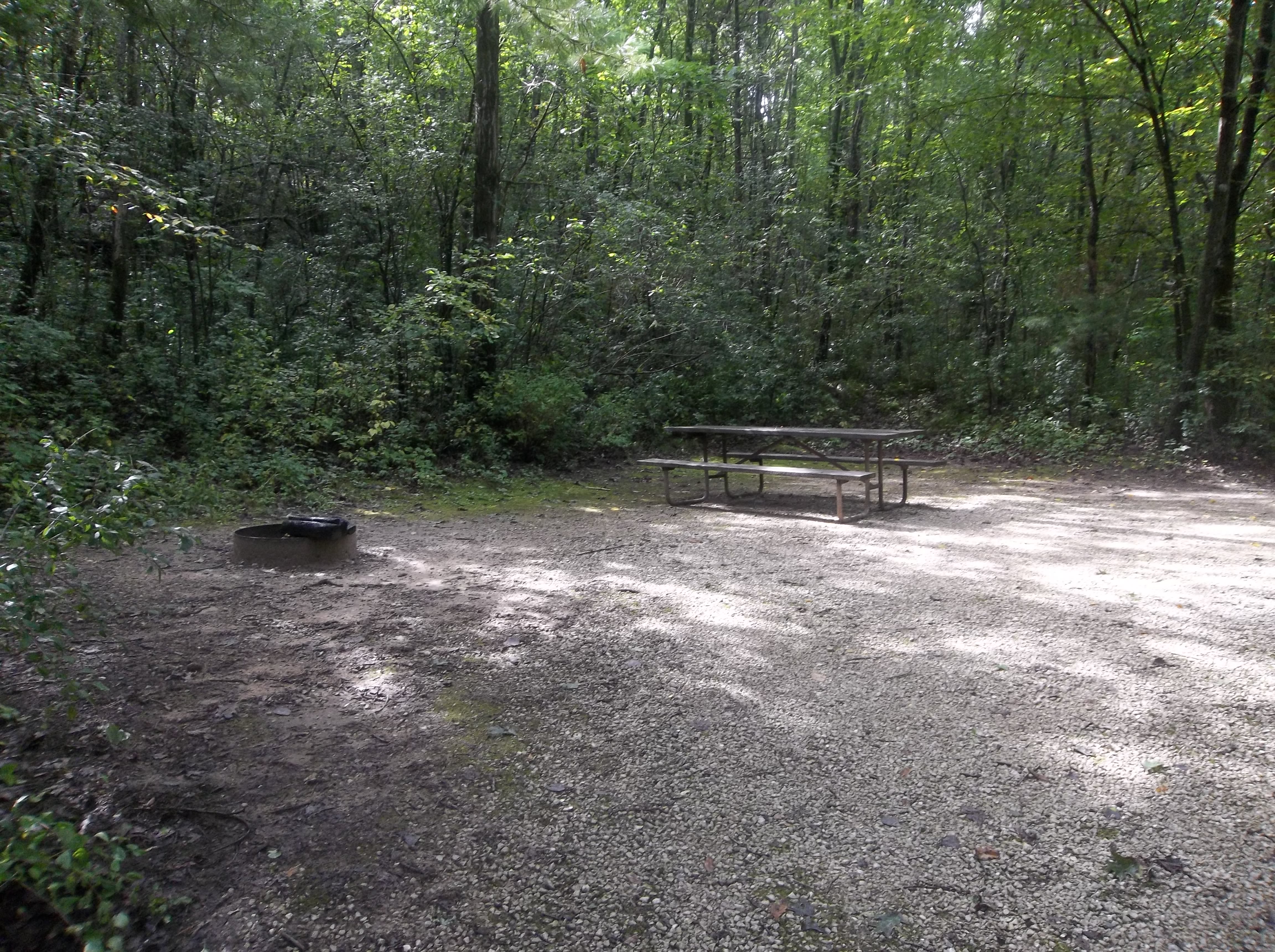 Site 10, photo 3 of 3 · from wisconsin.goingtocamp.com (the park's booking system)