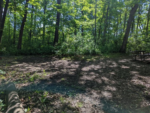 Site 28, photo 2 of 3 · from wisconsin.goingtocamp.com (the park's booking system)