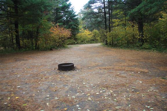 Site 497, photo 2 of 3 · from wisconsin.goingtocamp.com (the park's booking system)