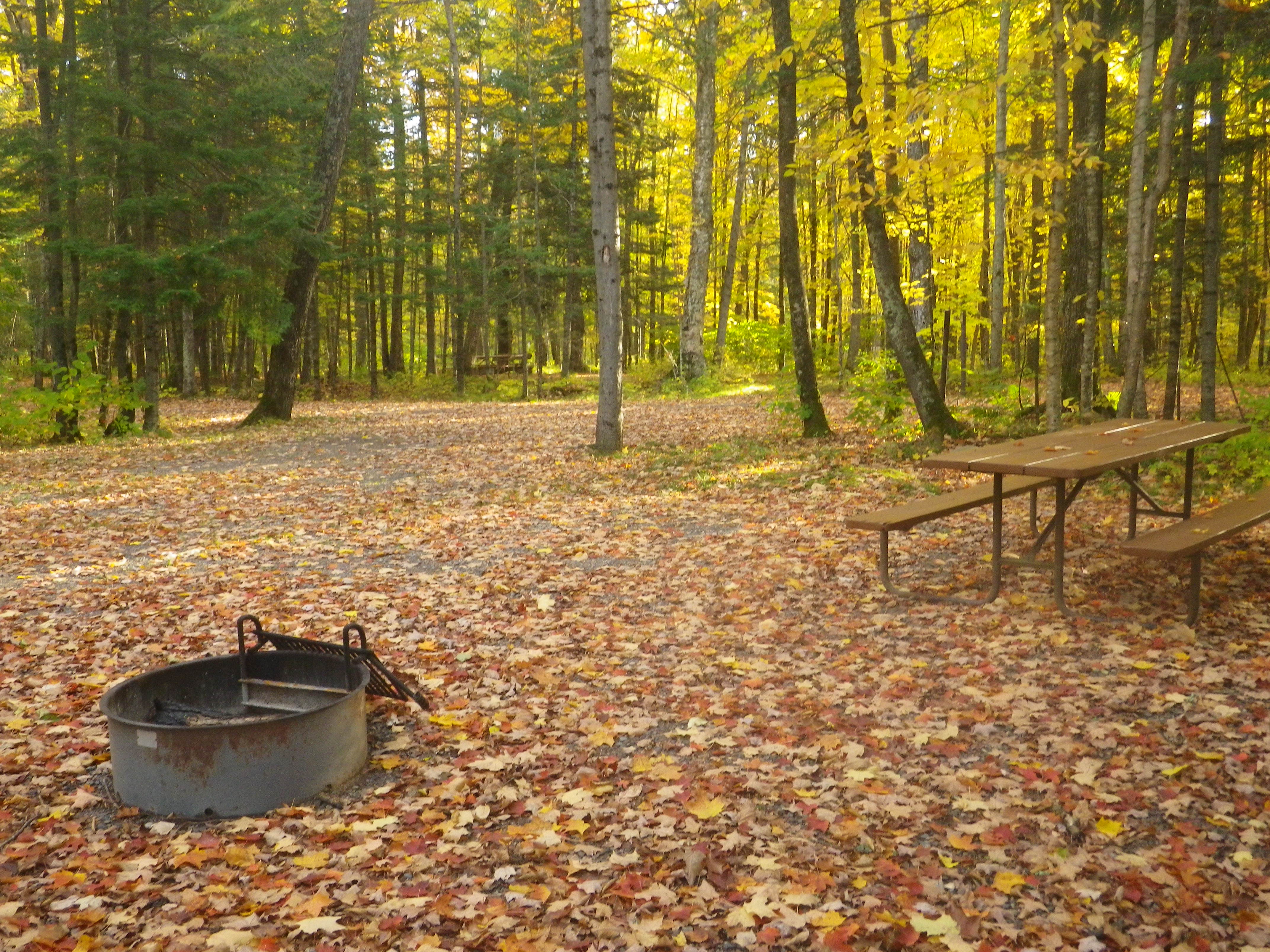 Site 18, photo 3 of 3 · from wisconsin.goingtocamp.com (the park's booking system)