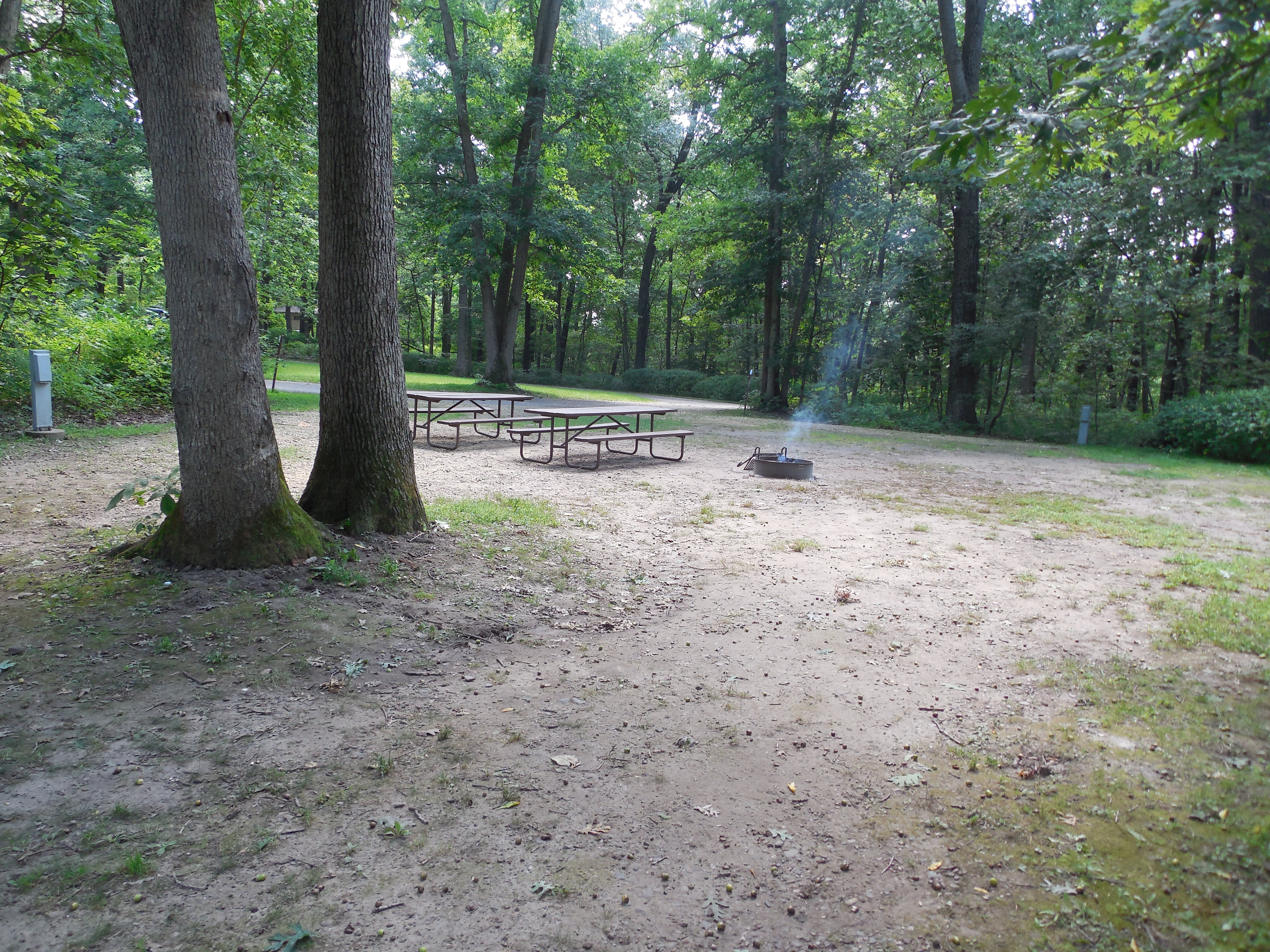 Site 27, photo 3 of 3 · from wisconsin.goingtocamp.com (the park's booking system)
