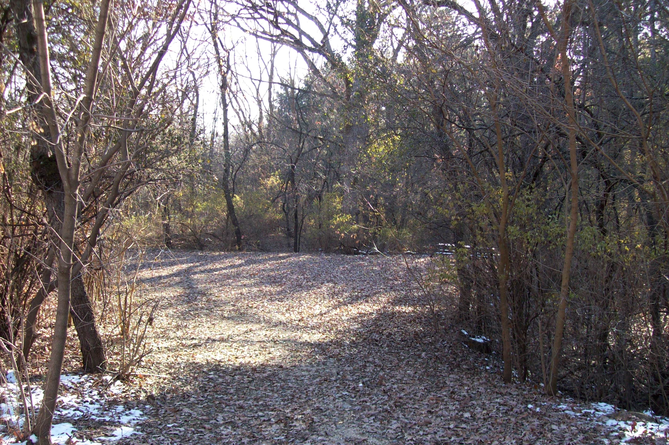 Site 764, photo 3 of 5 · from wisconsin.goingtocamp.com (the park's booking system)