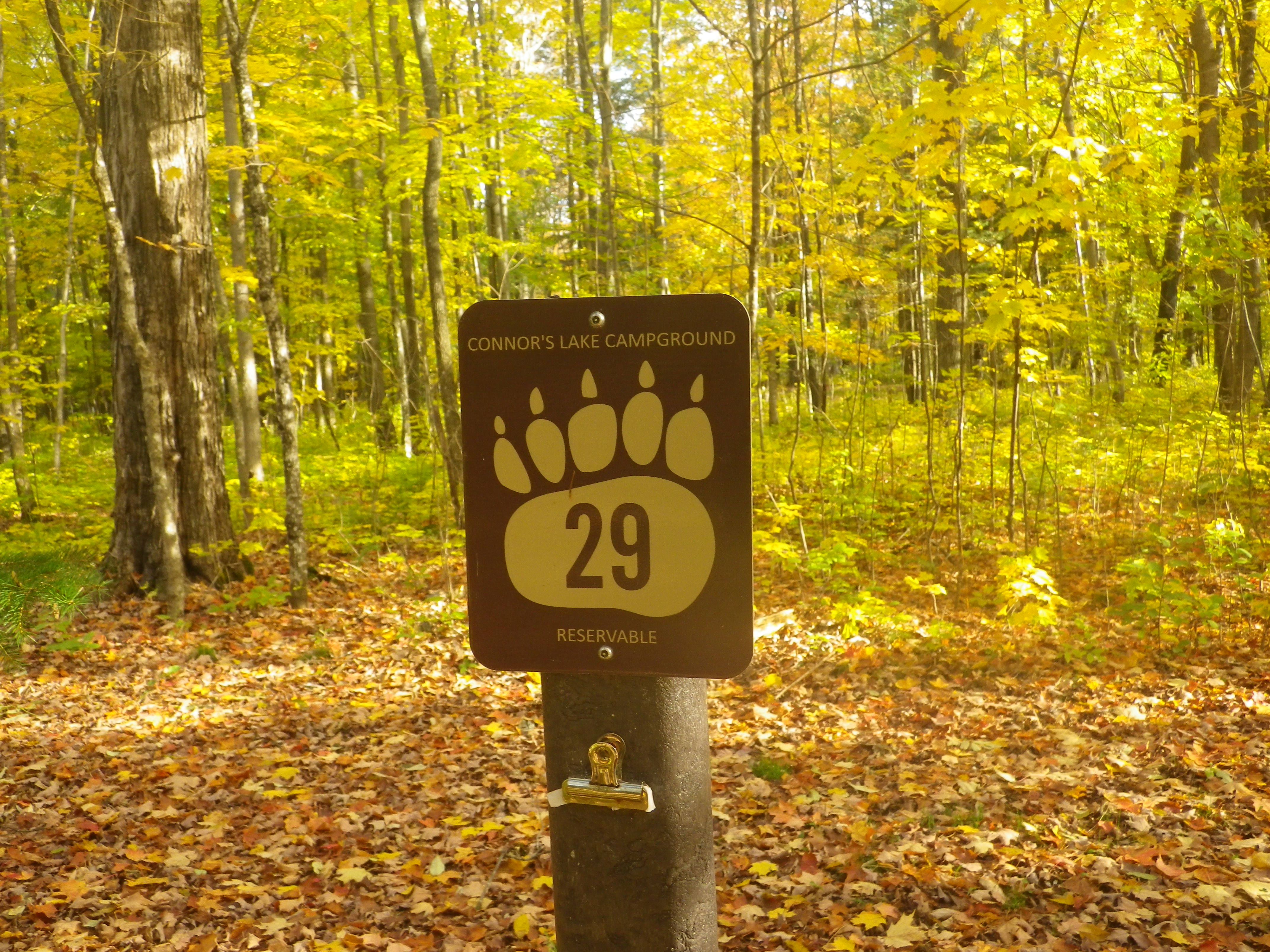 Site 29, photo 2 of 4 · from wisconsin.goingtocamp.com (the park's booking system)