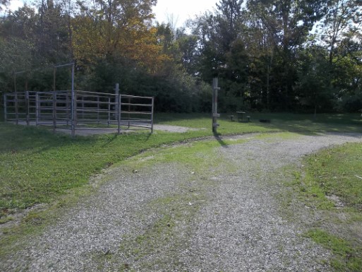 Site 13, photo 3 of 3 · from wisconsin.goingtocamp.com (the park's booking system)