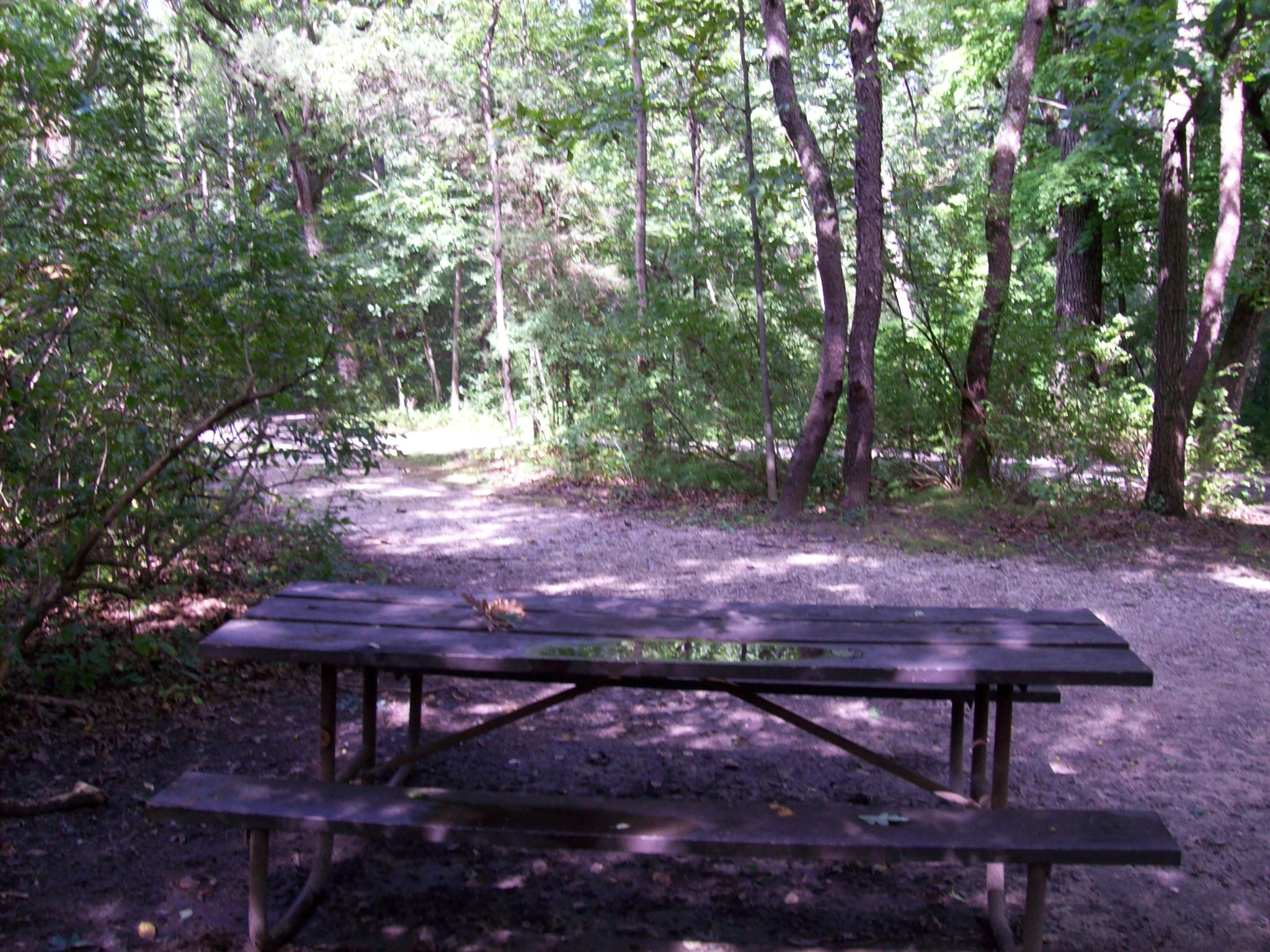 Site 163, photo 3 of 3 · from wisconsin.goingtocamp.com (the park's booking system)