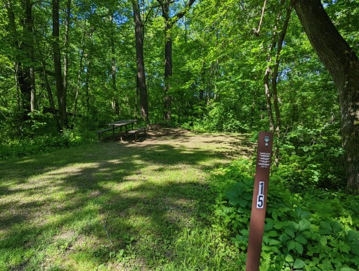 Site 15, photo 2 of 3 · from wisconsin.goingtocamp.com (the park's booking system)