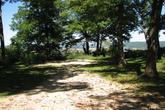 Site 135, photo 2 of 3 · from wisconsin.goingtocamp.com (the park's booking system)