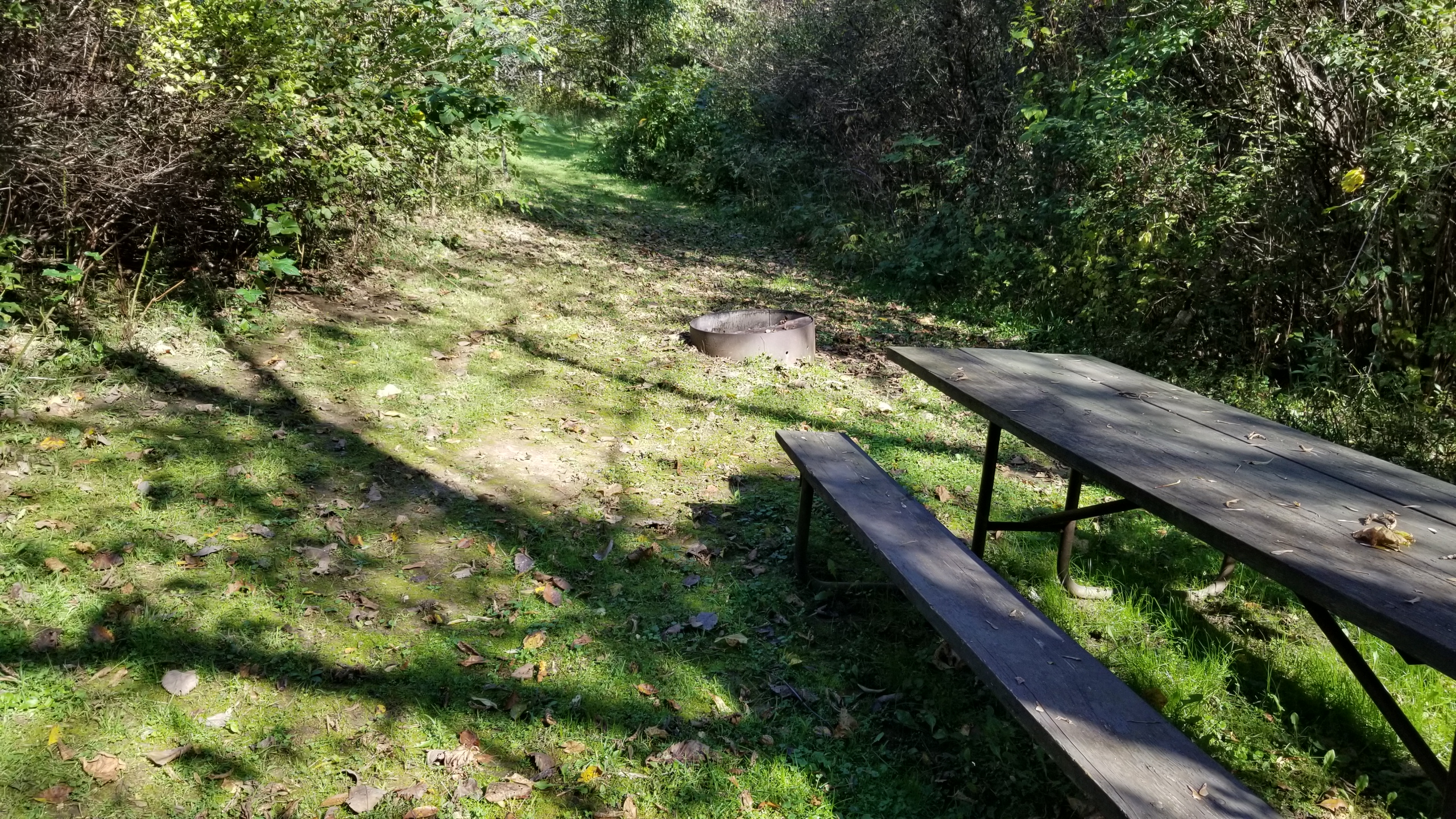 Site 11, photo 2 of 2 · from wisconsin.goingtocamp.com (the park's booking system)